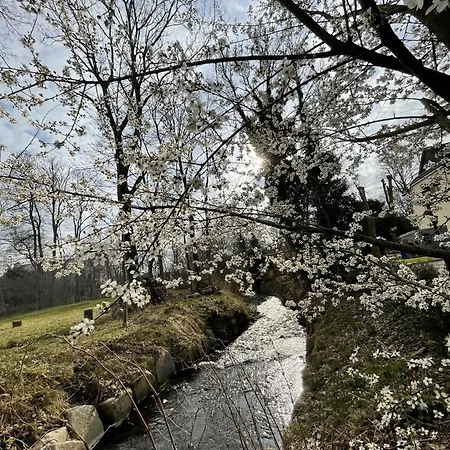 Land & Leben Chemnitz