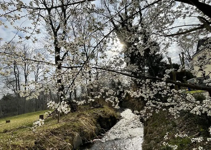 Land & Leben Chemnitz